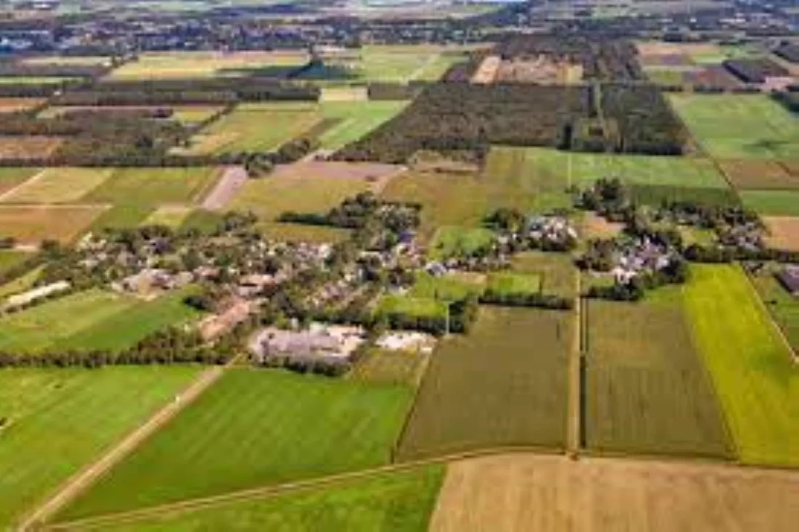 Wellnesslodge Scholekster 4p - Gebieden zomer 5km