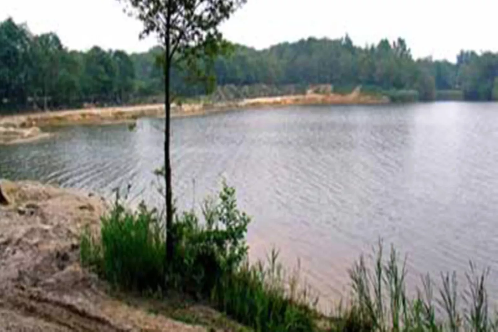 Wellnesslodge Scholekster 4p - Gebieden zomer 5km