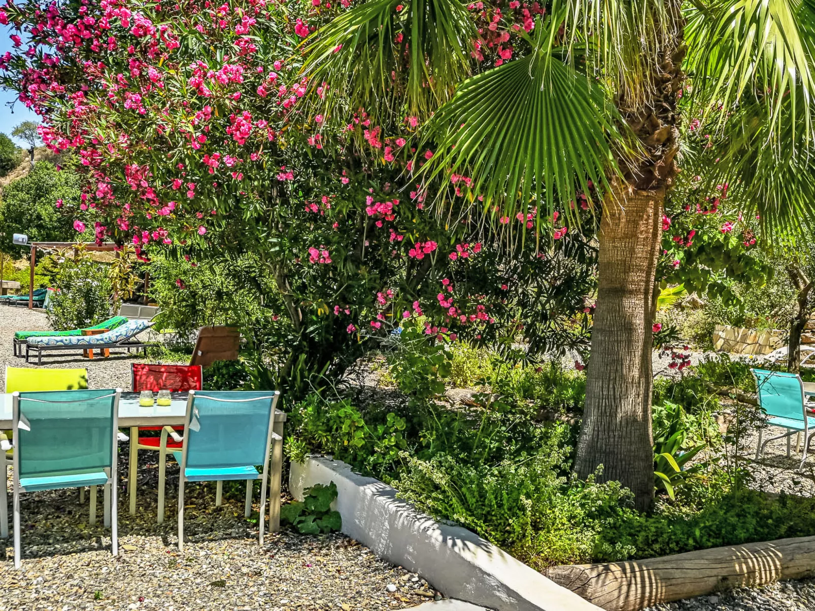 Tortuga - Nido Aguila Blanca - Buiten