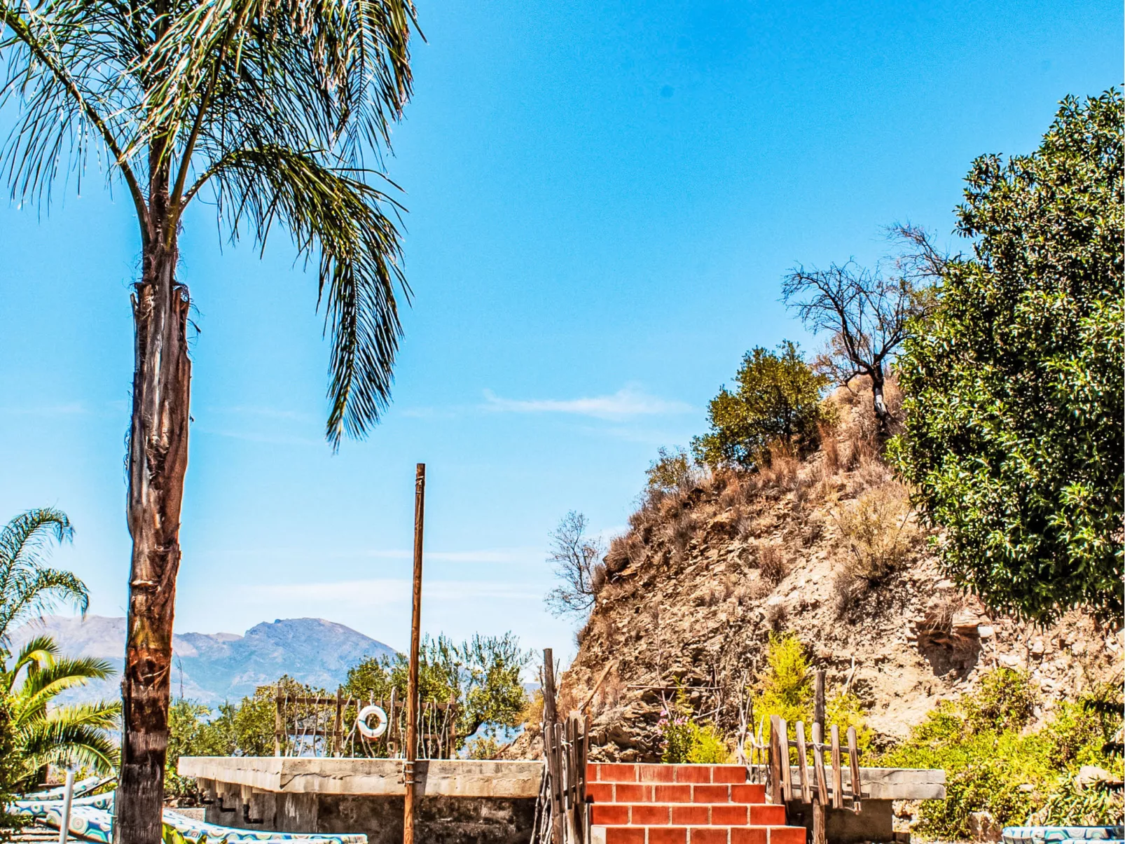 Mariposa - Nido Aguila Blanca - Buiten
