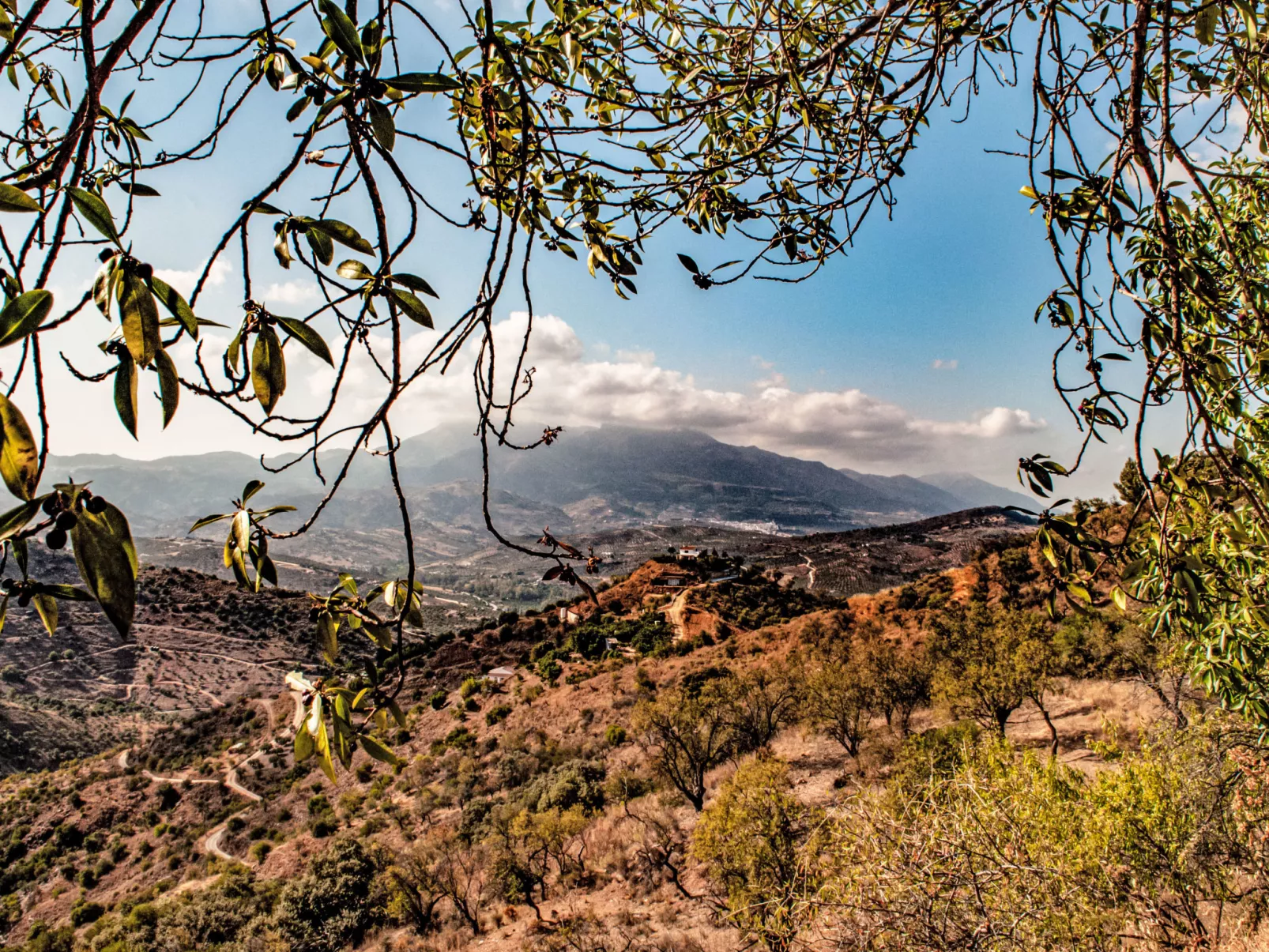 Tortuga - Nido Aguila Blanca - Buiten