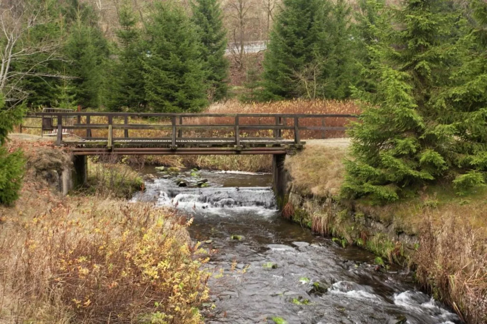 Ferienhaus Amy - Gebieden zomer 20km