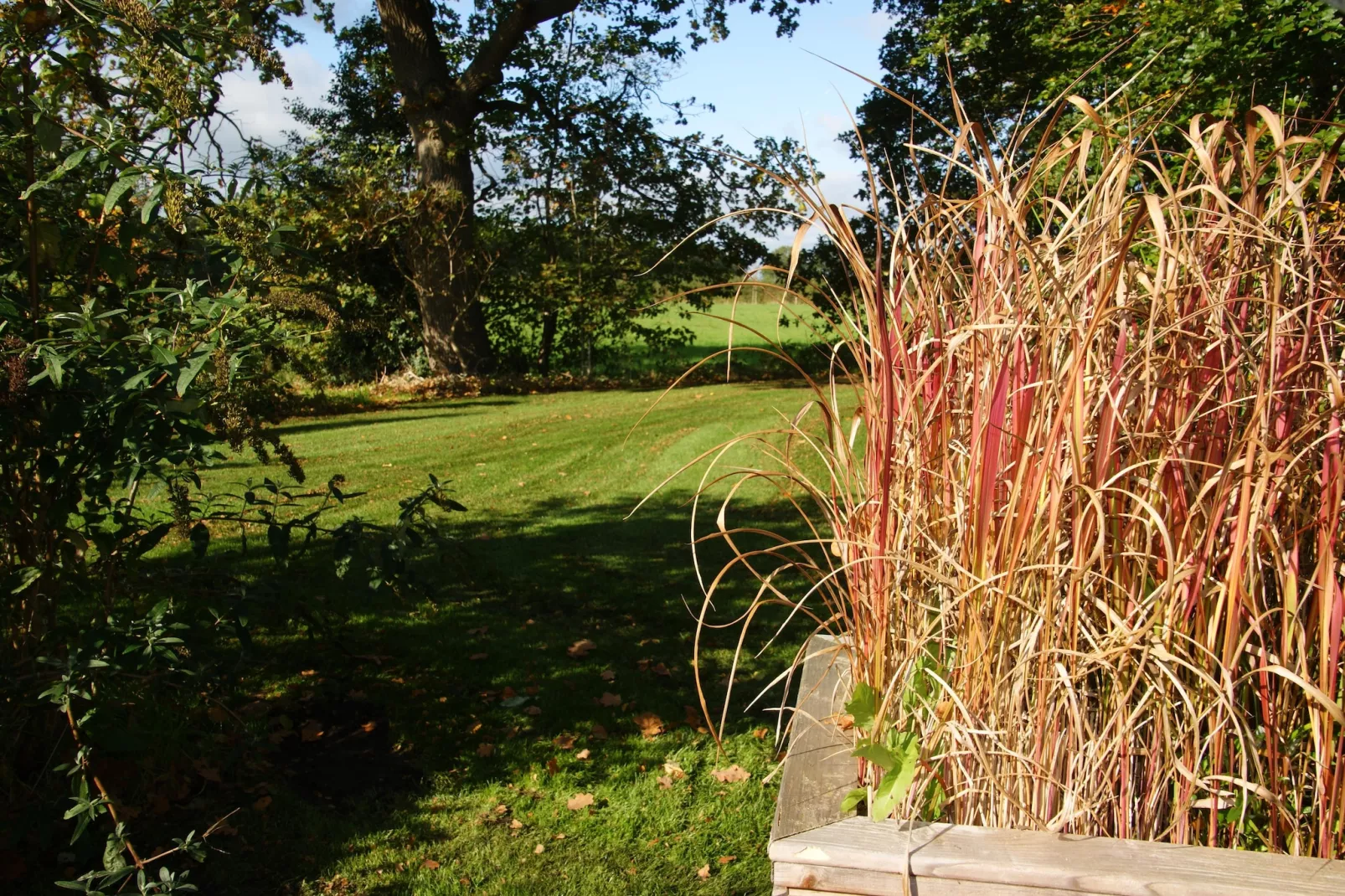 Wellnesslodge Scholekster 4p - Gebieden zomer 1km