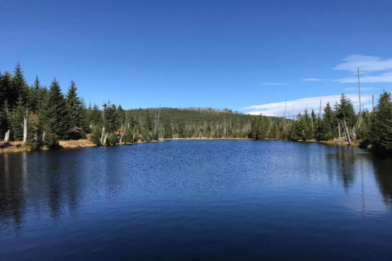 Typ A Basis - Studio Michaela L72 - Gebieden zomer 5km