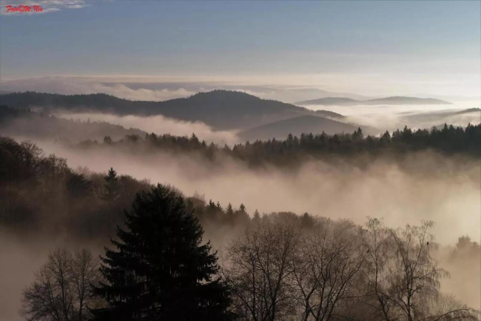 Typ A Standard - Studio Roswitha J39 - Gebieden zomer 5km
