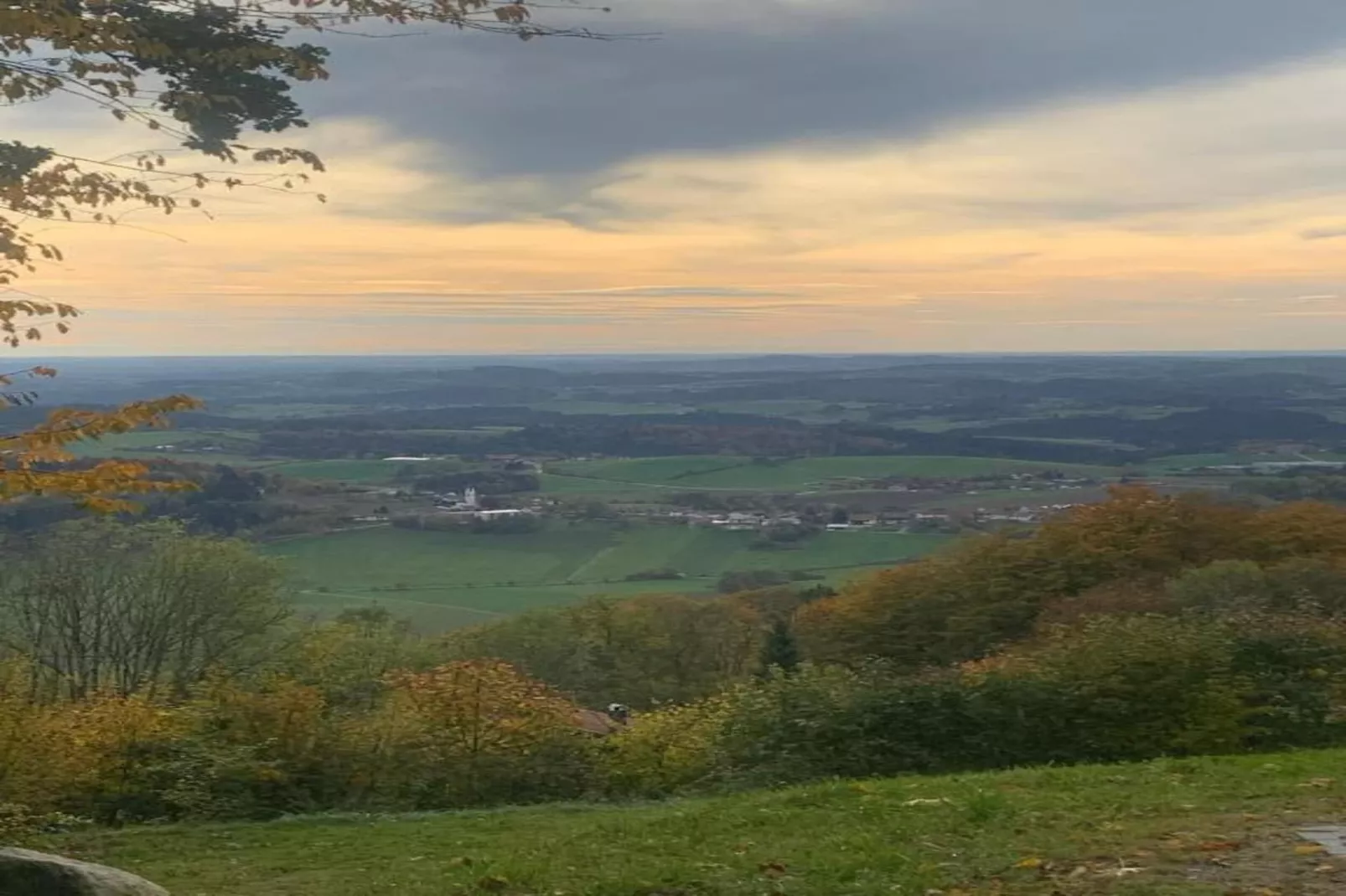 Typ A Standard - Studio Roswitha J39 - Gebieden zomer 5km