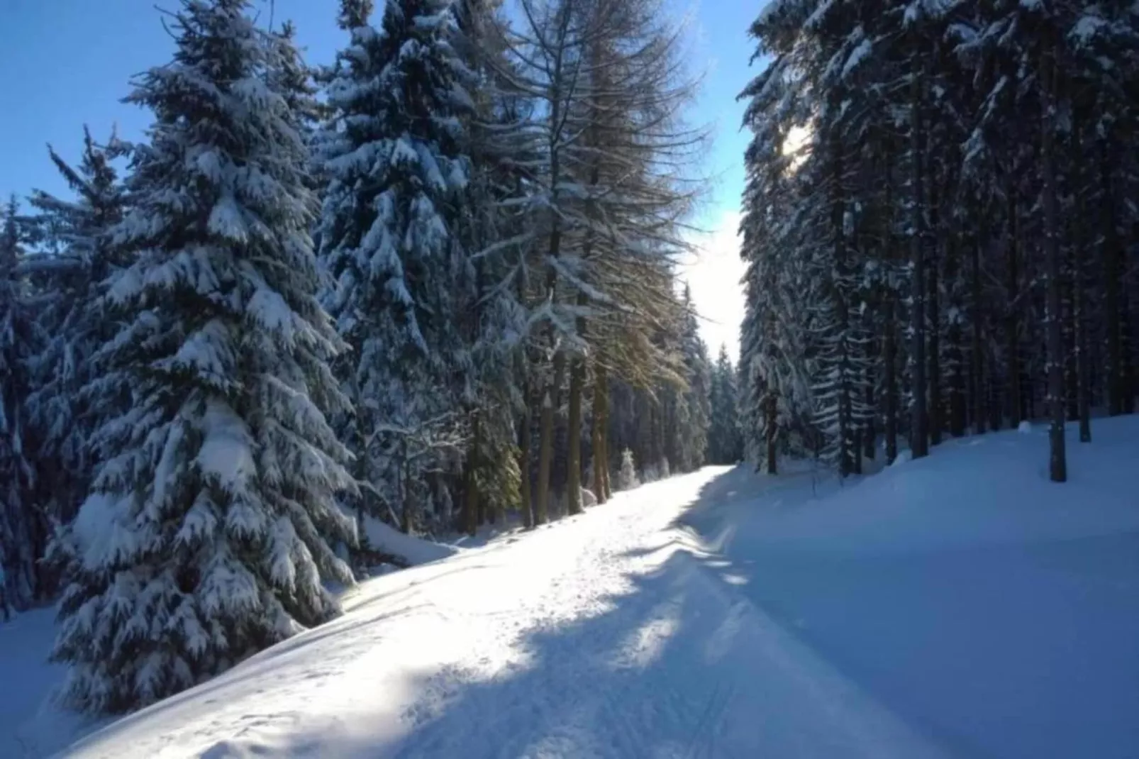 Dorothea - Gebied winter 5km