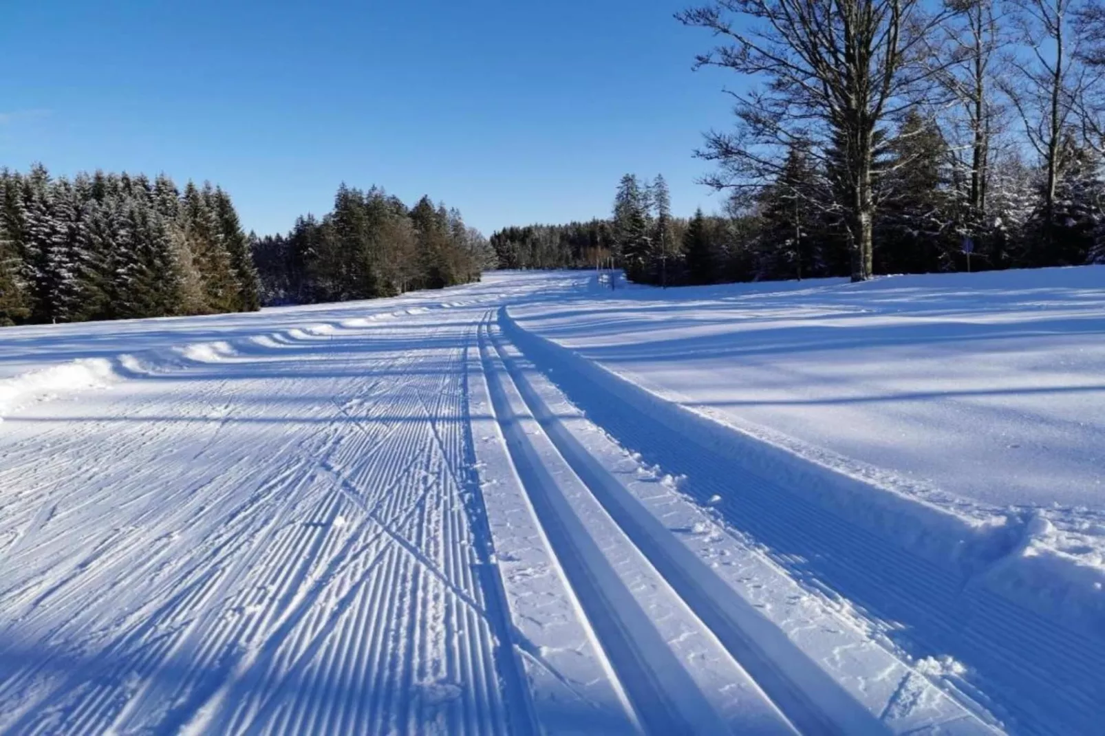 Typ A Basis - Studio Michaela L72 - Gebied winter 5km