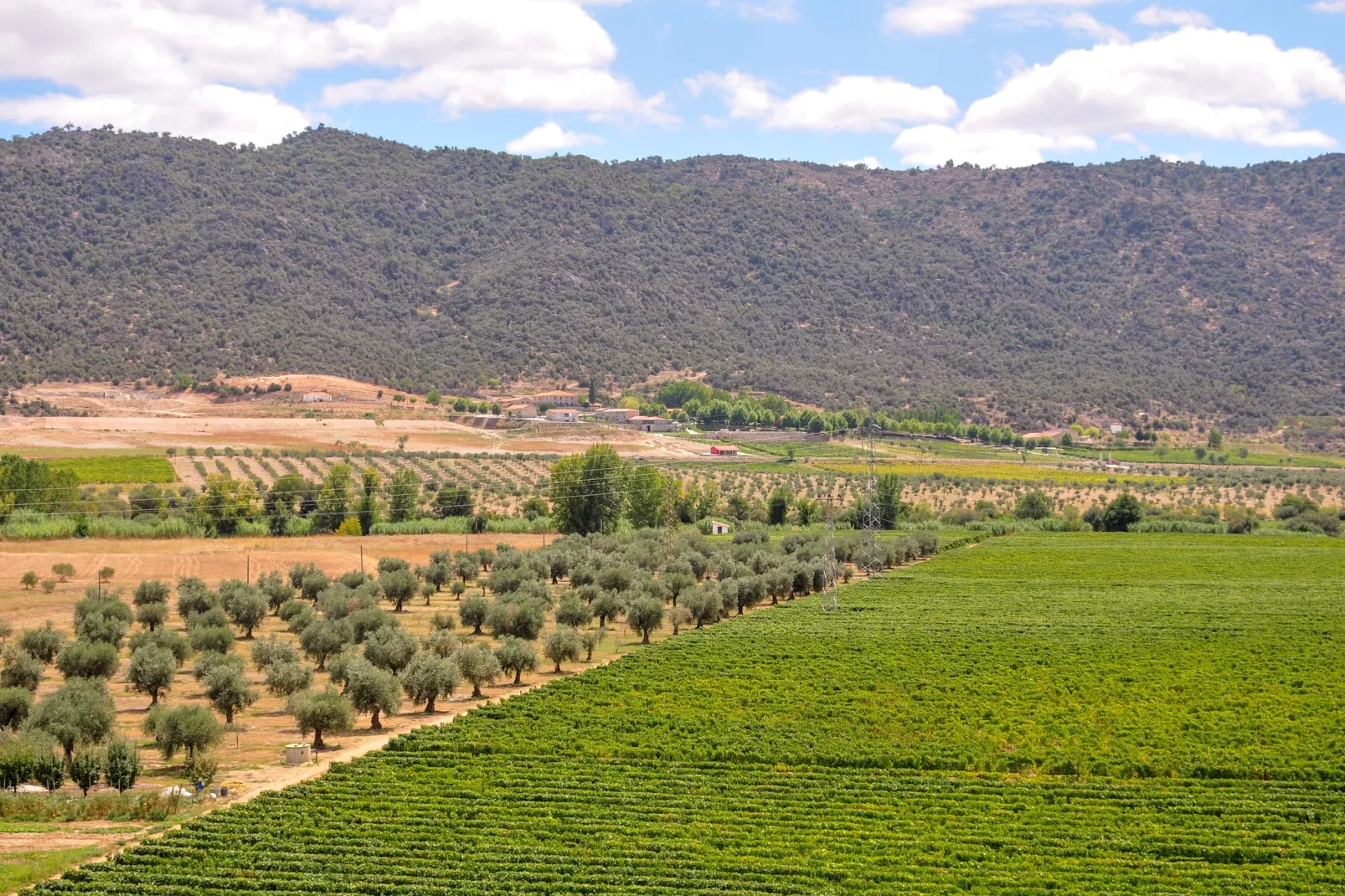 Casa do Curral - Gebieden zomer 1km