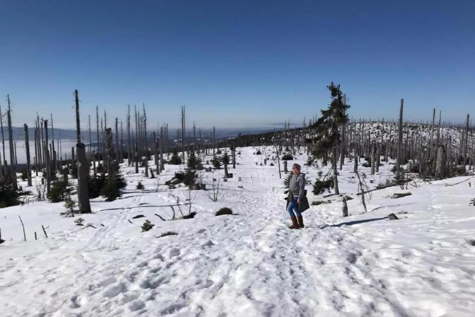 2x Typ A Standard - Fewo Family Comfort L96 - Gebied winter 5km