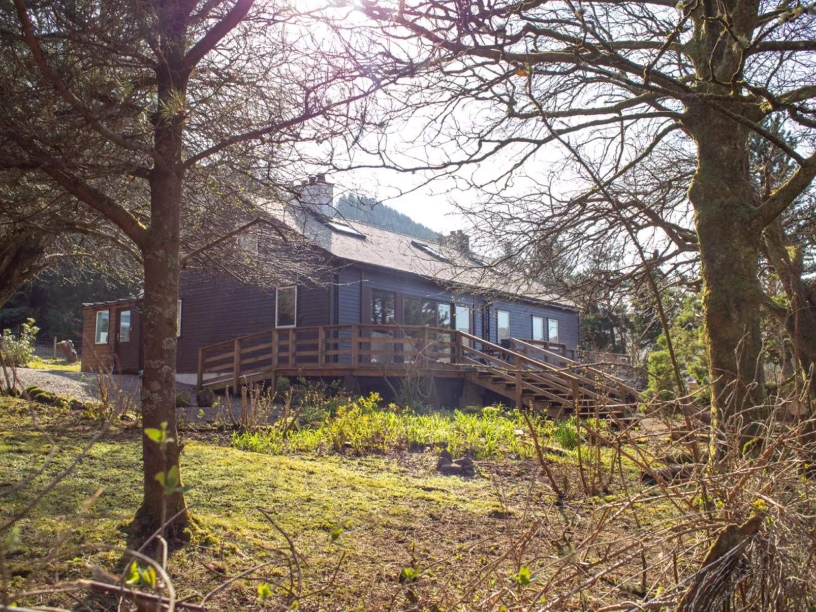 Blue Lobster - Buiten