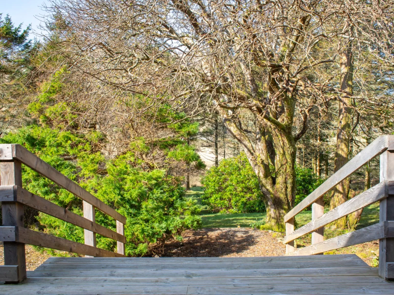 Blue Lobster - Buiten