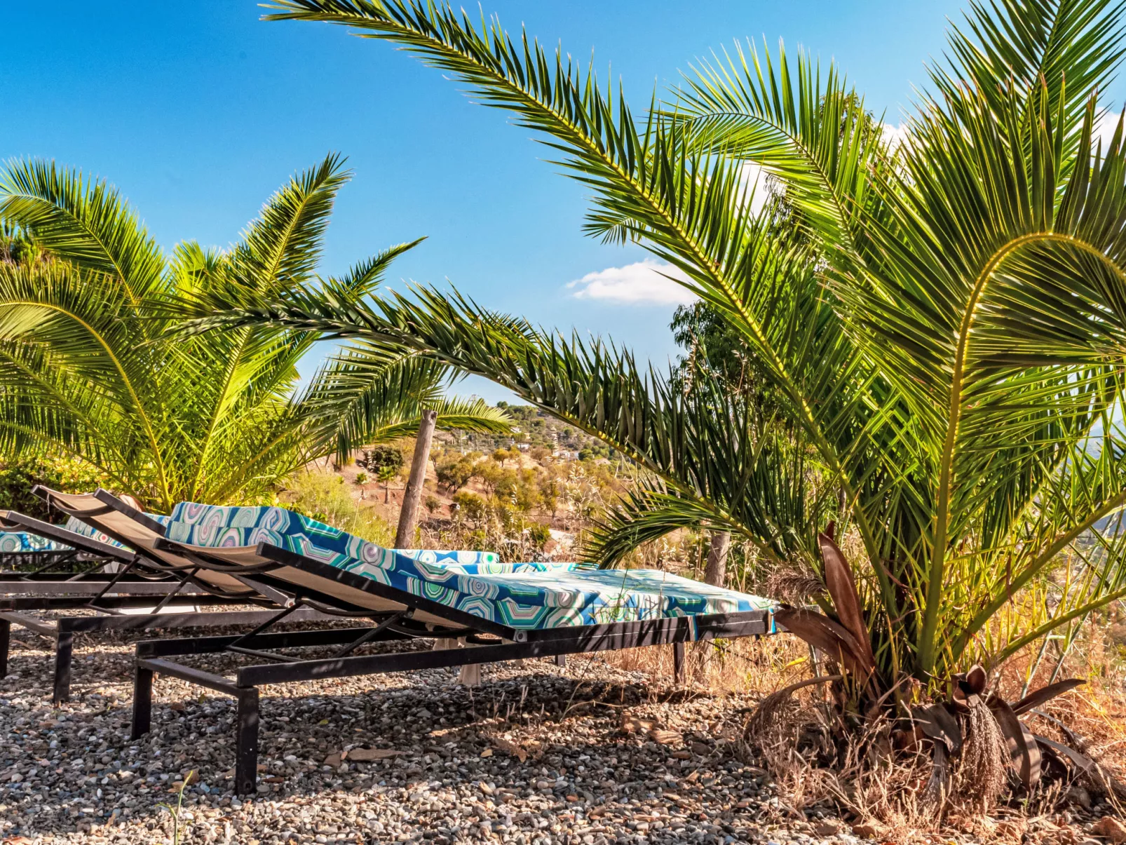 Nido Aguila Blanca - Buiten