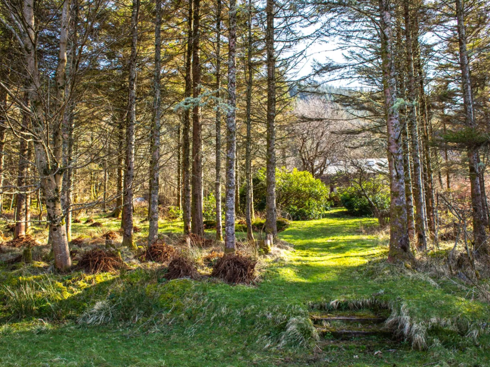 Blue Lobster - Buiten