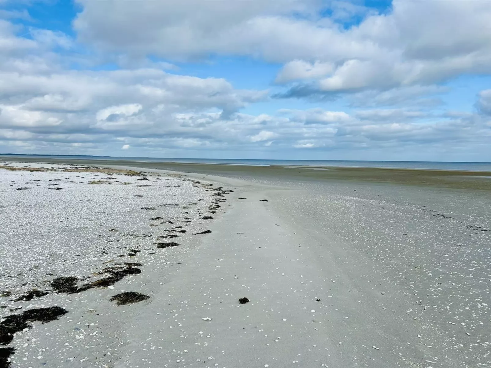 "Swale" - 500m from the sea - Buiten