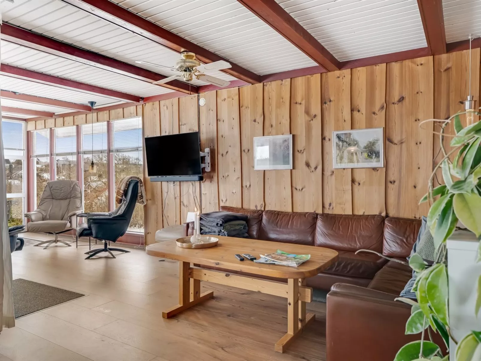 "Dimo" - 75m to the fjord