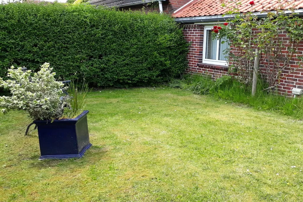 97145 - Niet-getagd