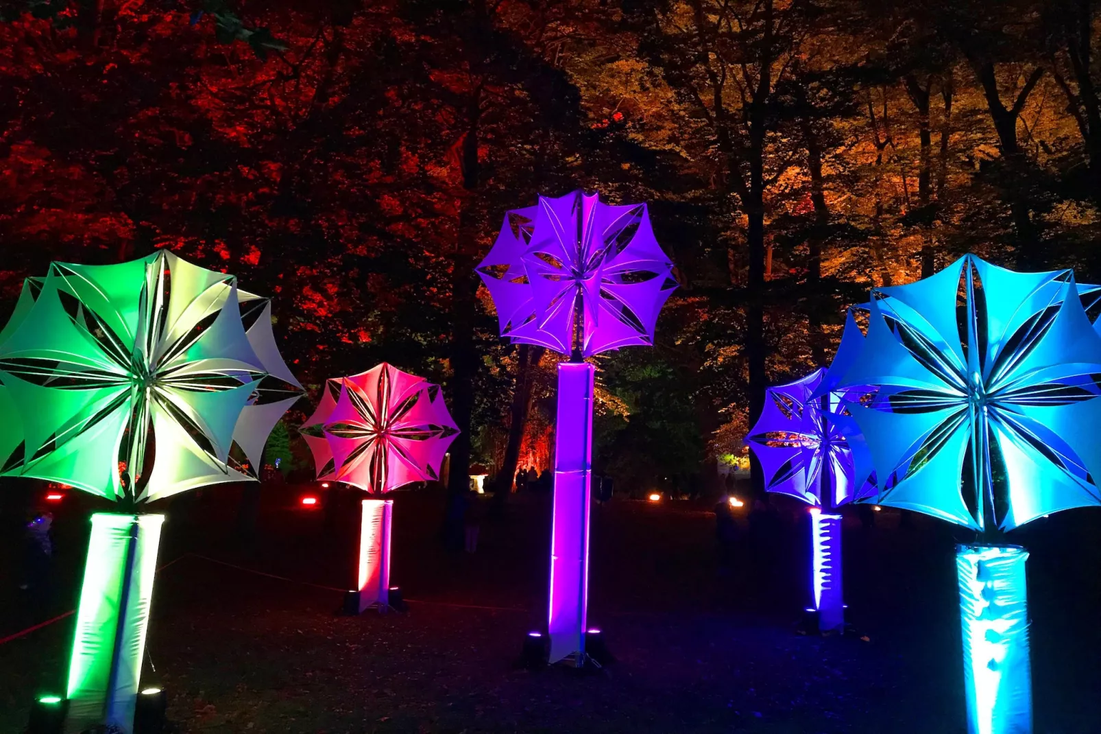 Ferienwohnung Morgenröte Ahlbeck - Gebied winter 5km