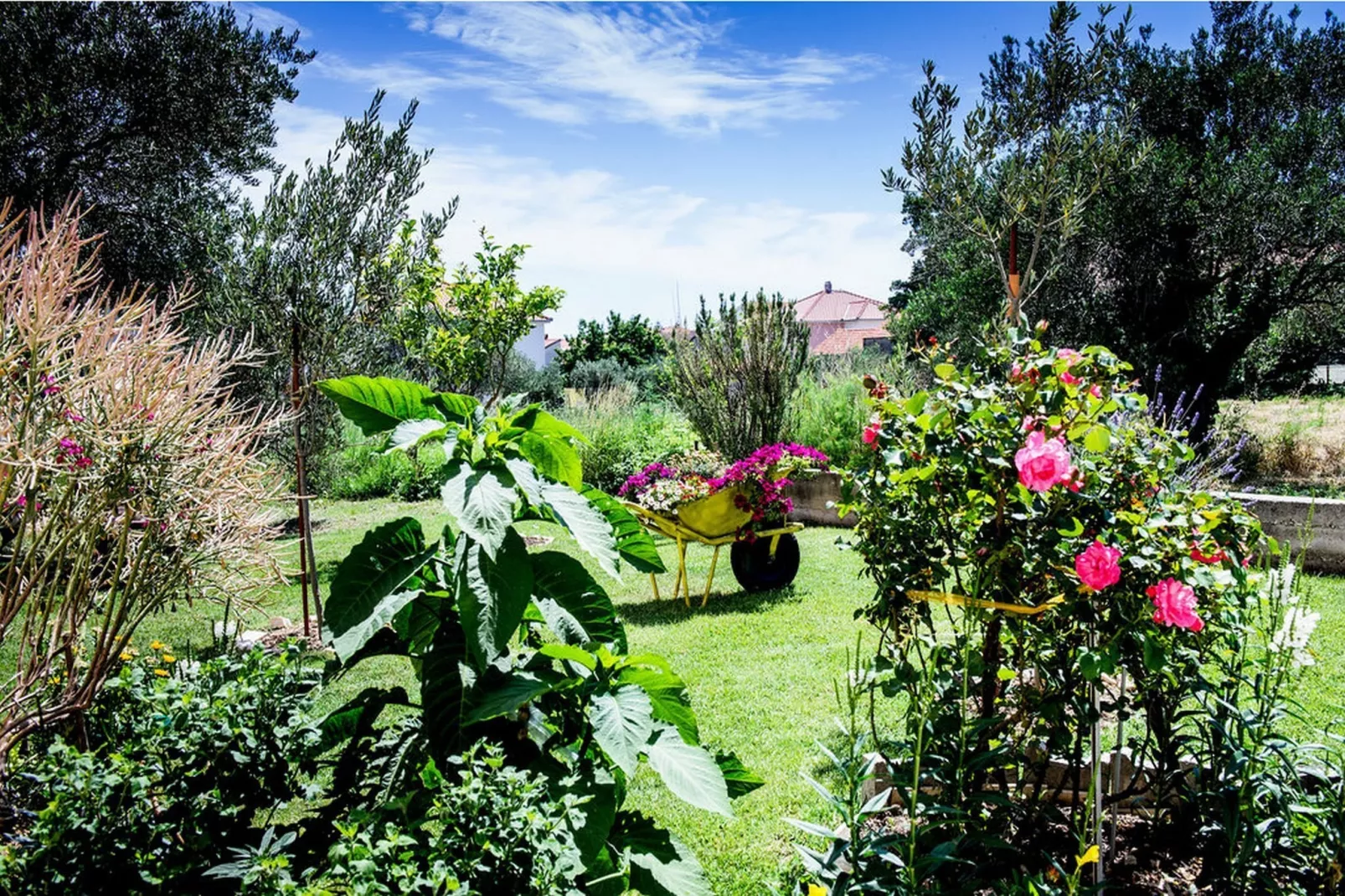 Two Bedroom Apartment with Balcony (Owner Blue) - Tuinen zomer