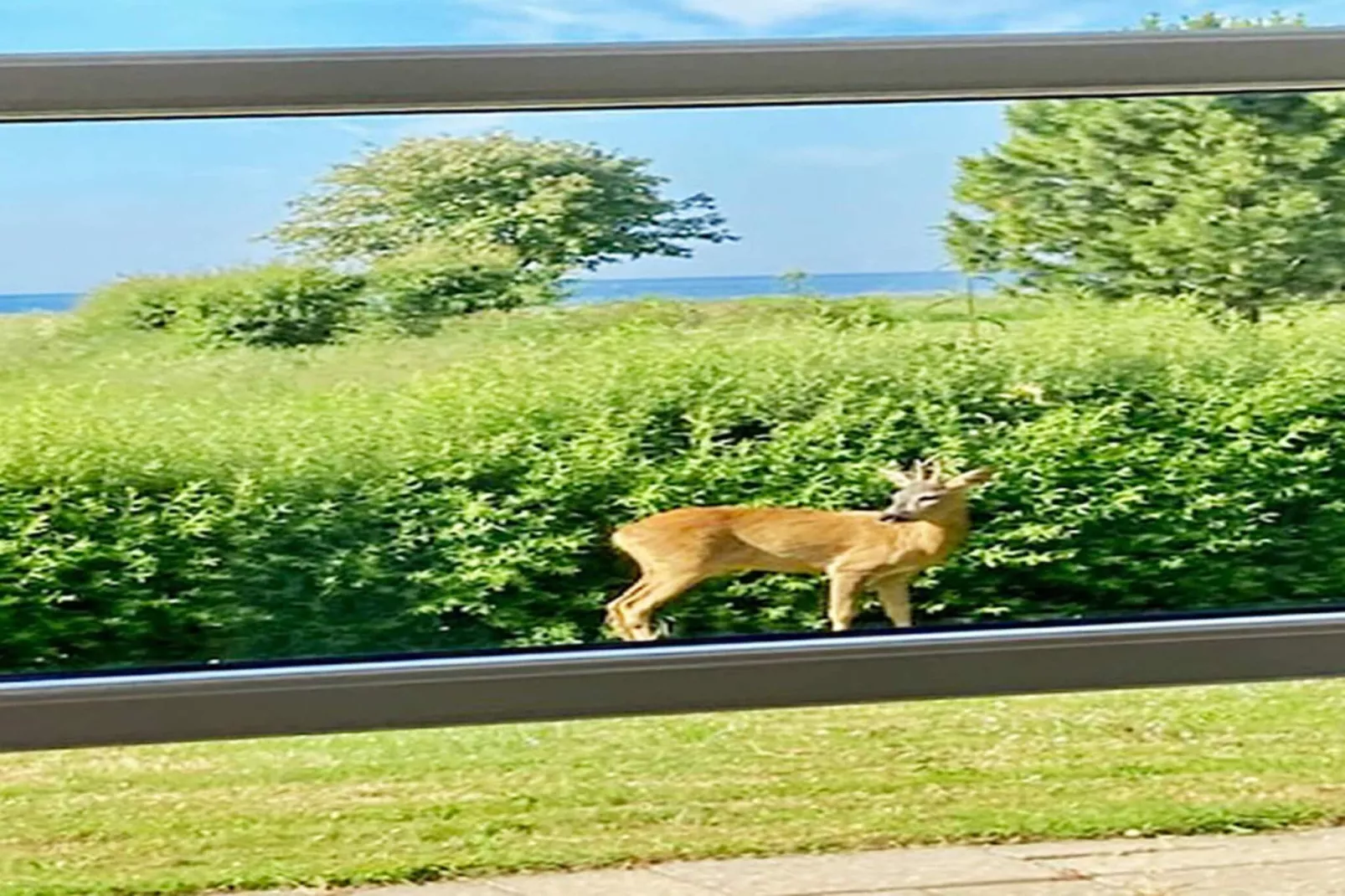 6 persoons vakantie huis in Nysted-By Traum - Buitenlucht