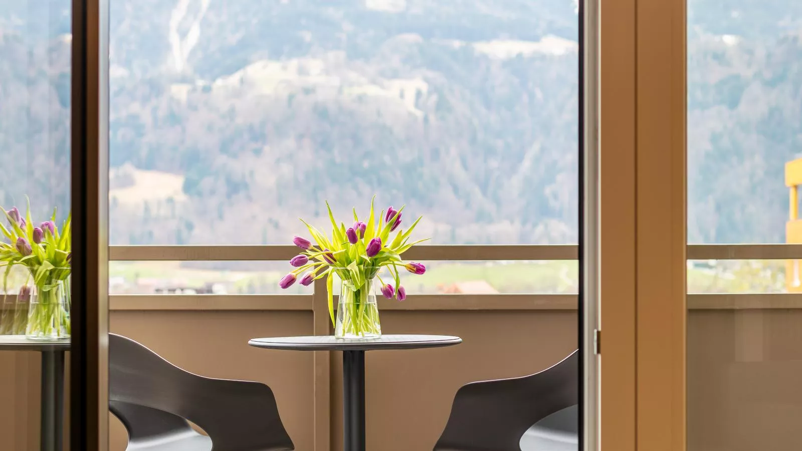City Apartments Jenbach Top 7 - Terrasbalkon