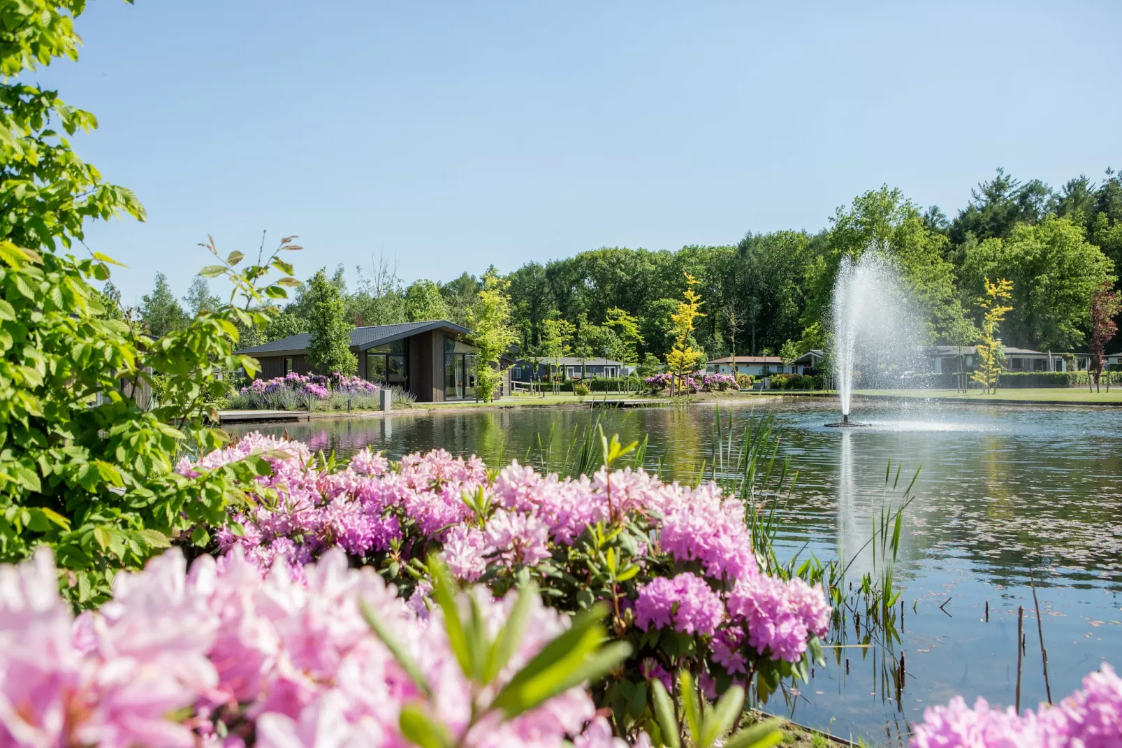 Vakantiepark Molenvelden 10 - Parkfaciliteiten