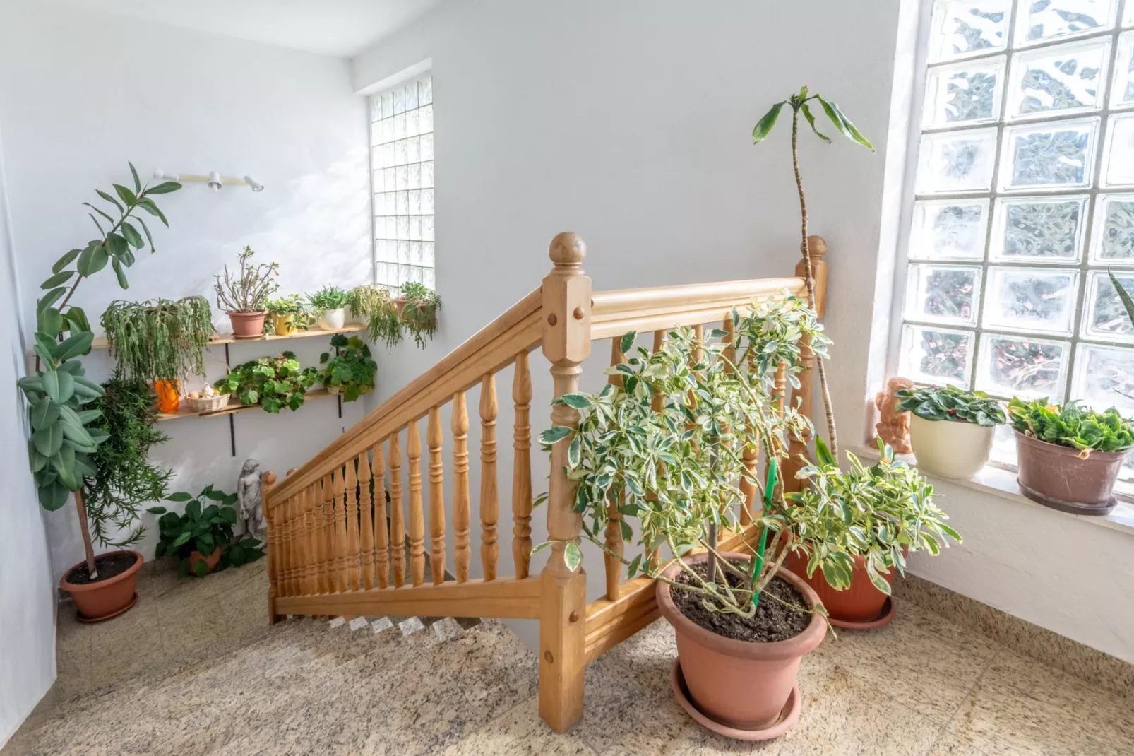 Charming Trogir Apartments with Balcony - One Bedroom Apartment with Balcony - Trap