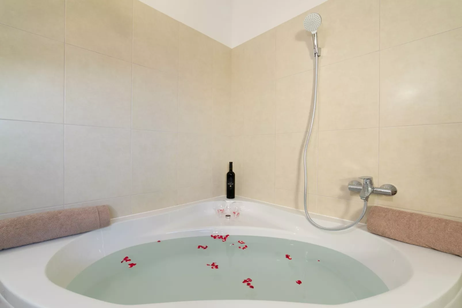Idyllic Getaway Lovrec Villa with Pool - Five Bedroom Villa with Pool - Badkamer