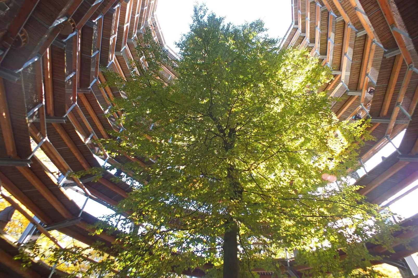 Chalk Cliff Base: Eco-Chic Wonen - Buitenlucht