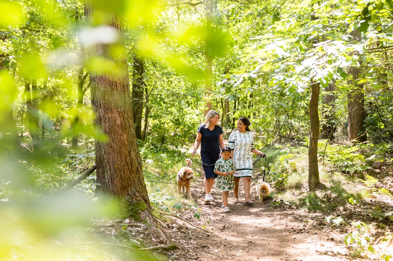 Vakantiepark Molenvelden 10 - Gebieden zomer 1km