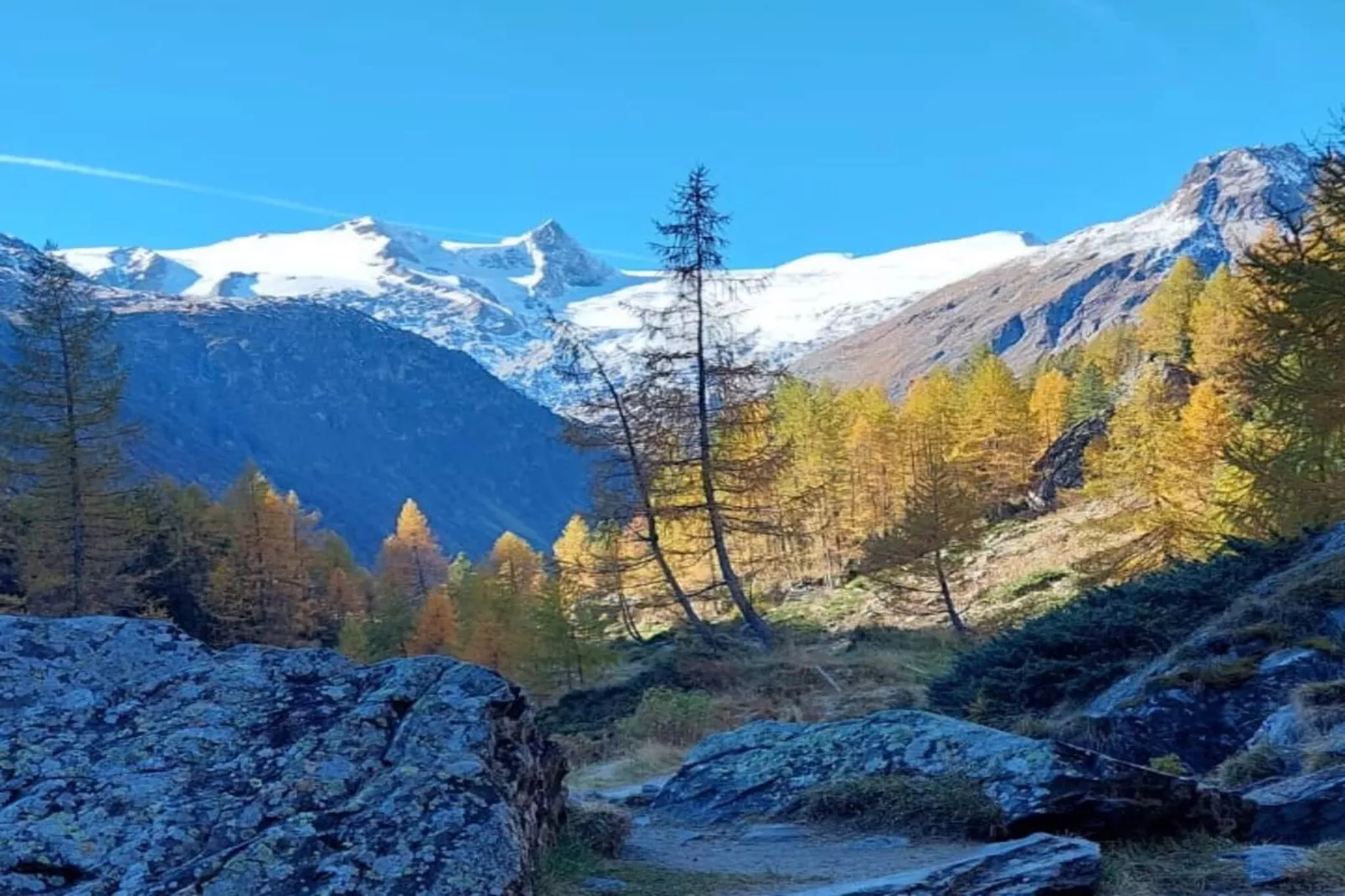 Mitterkopfblick - Gebied winter 1km