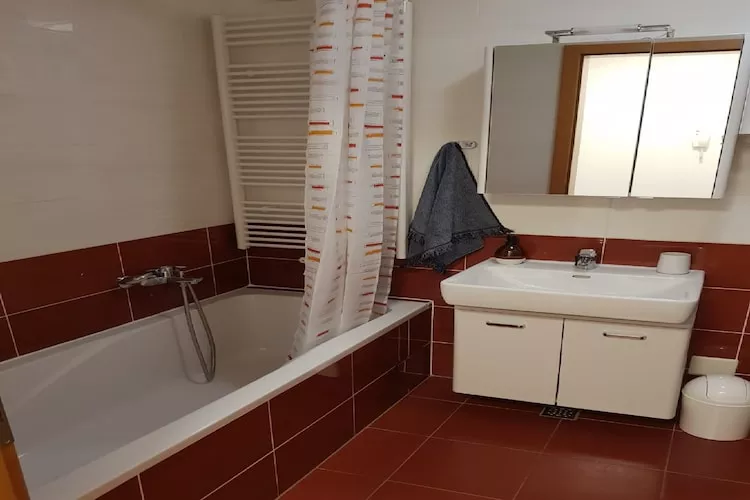 Apartment Aurelia Arena - One Bedroom Apartment - Badkamer