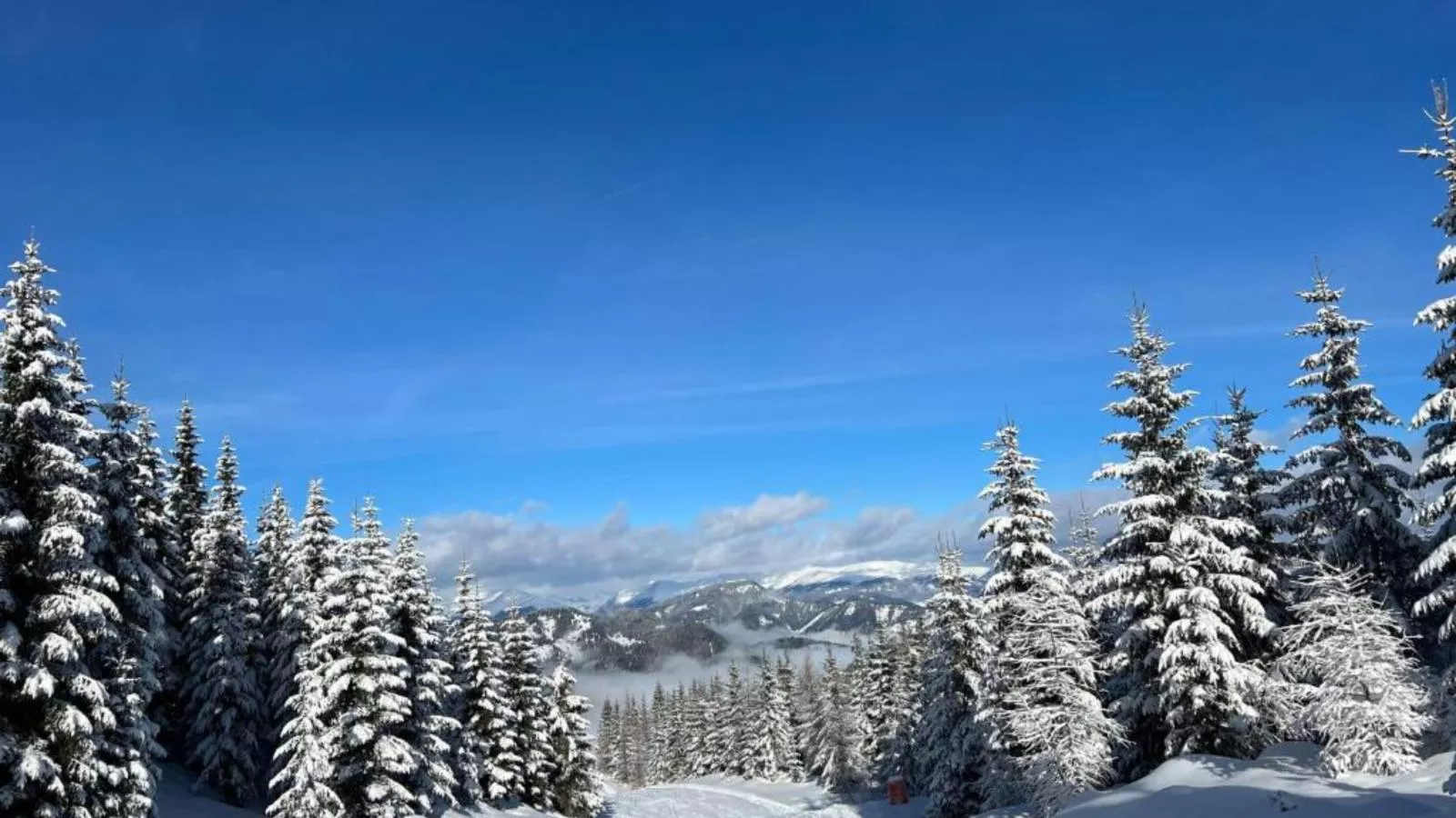 Landhaus Alpenblick Grebenzen - Gebied winter 5km