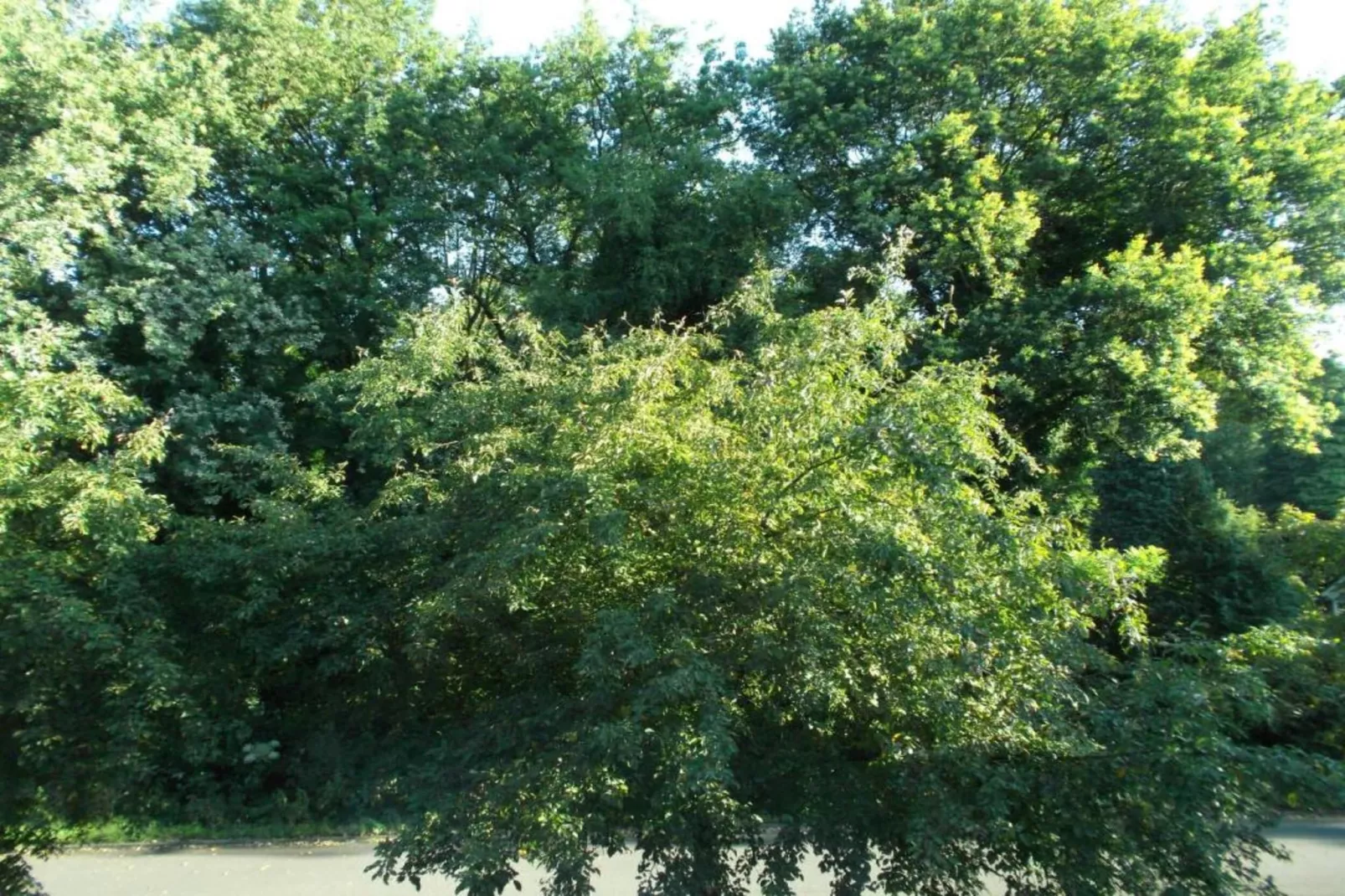 Vakantiepark Molenvelden 10 - Gebieden zomer 20km