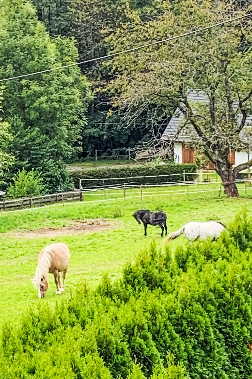 Apartamento Giovanna - Buiten