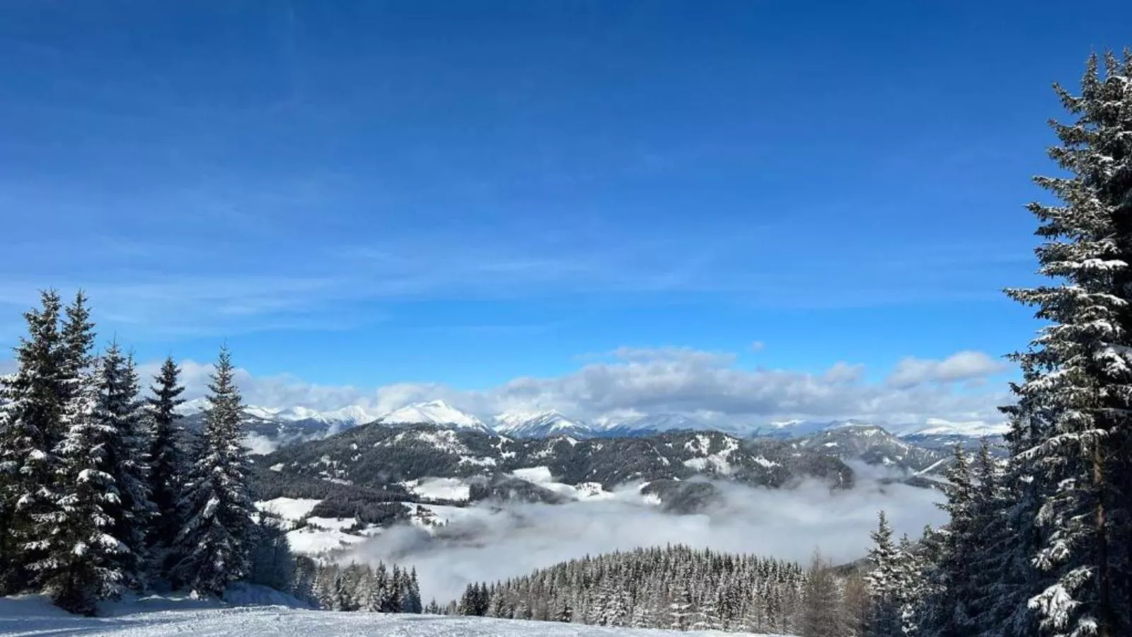 Landhaus Alpenblick Grebenzen - Gebied winter 5km
