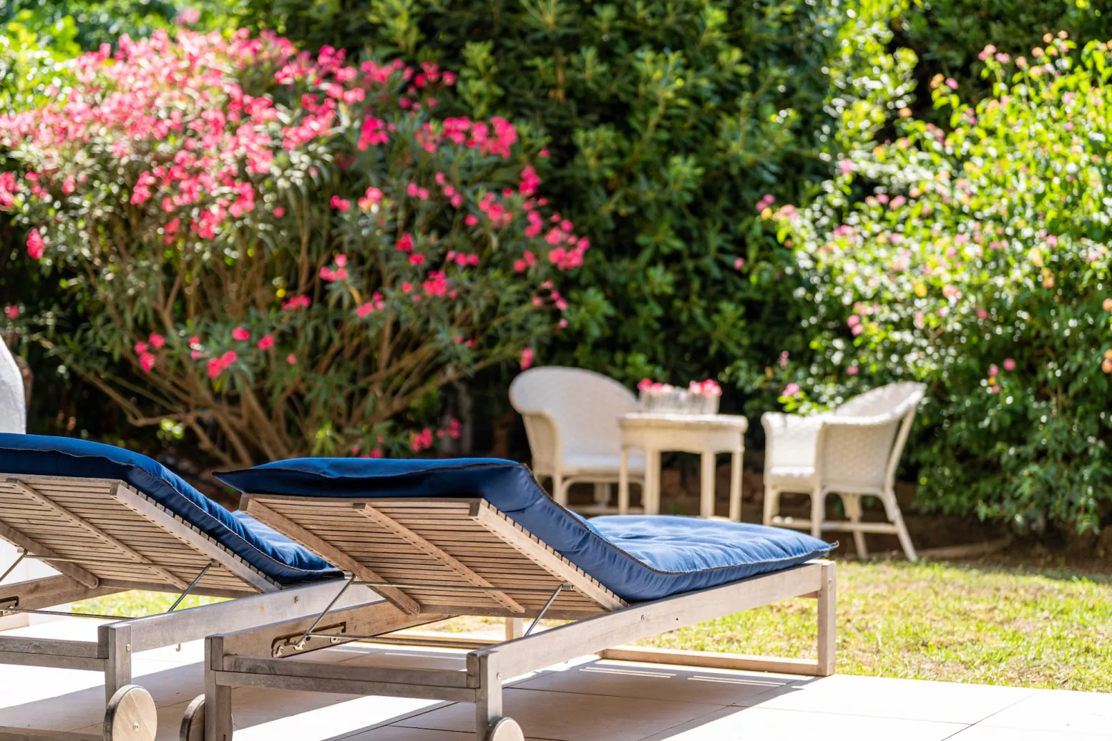 FM-42-MONTFLEURY - Niet-getagd