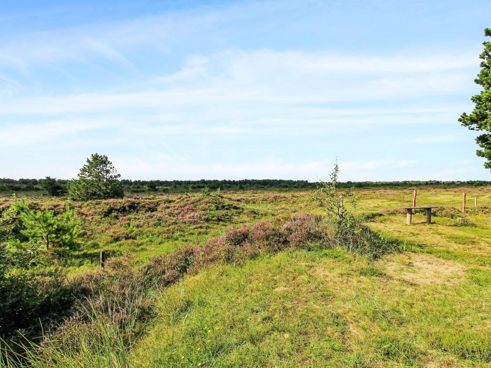 "Alfwin" - 3km from the sea