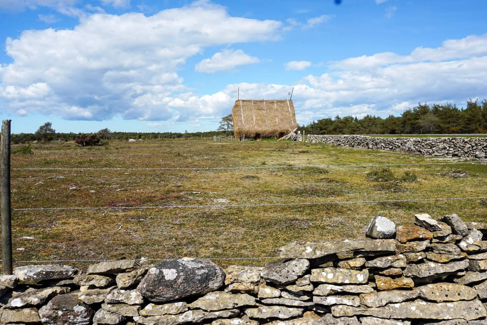 4 Personen vakantie huis in Hemse - Niet-getagd