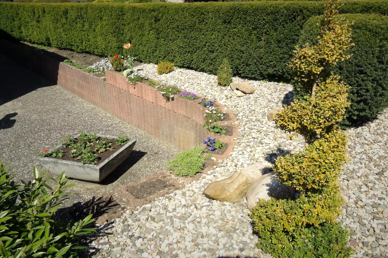 Bianca - Gebieden zomer 1km