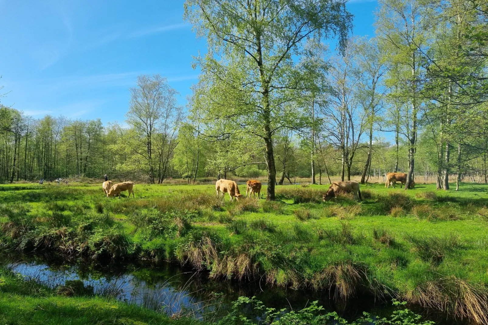Watervilla Tweintich - Gebieden zomer 5km