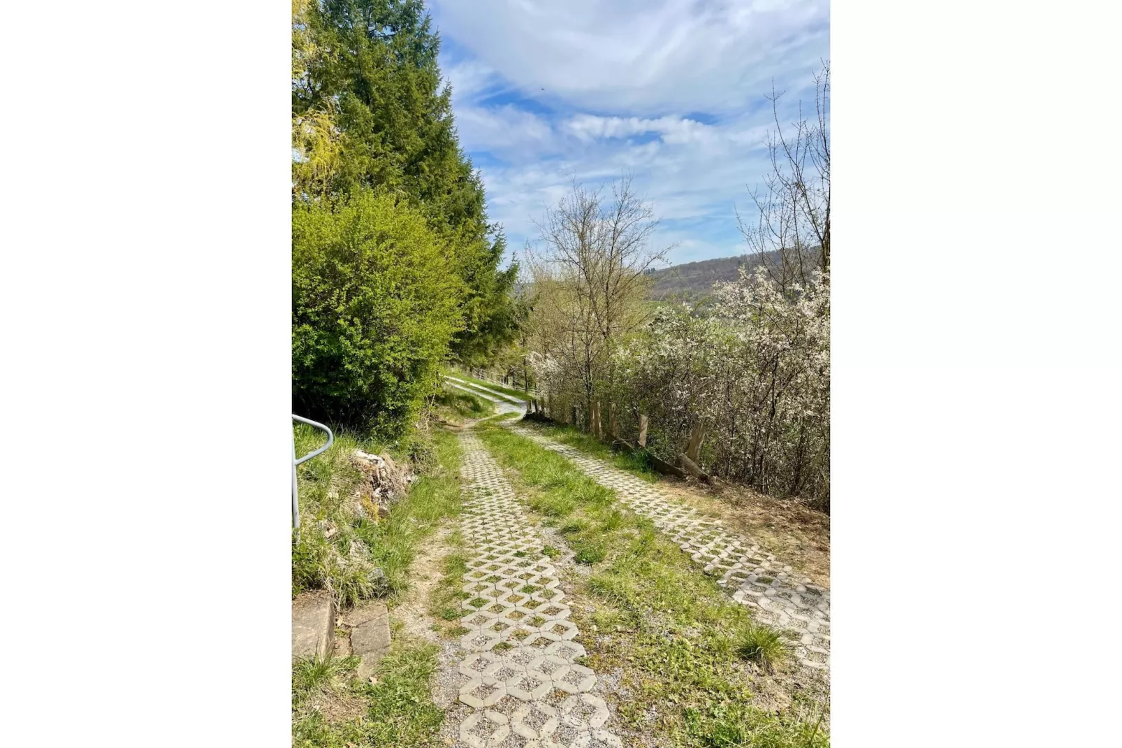 AutarkHome Natur Kompfort Rautenberg - Uitzicht zomer