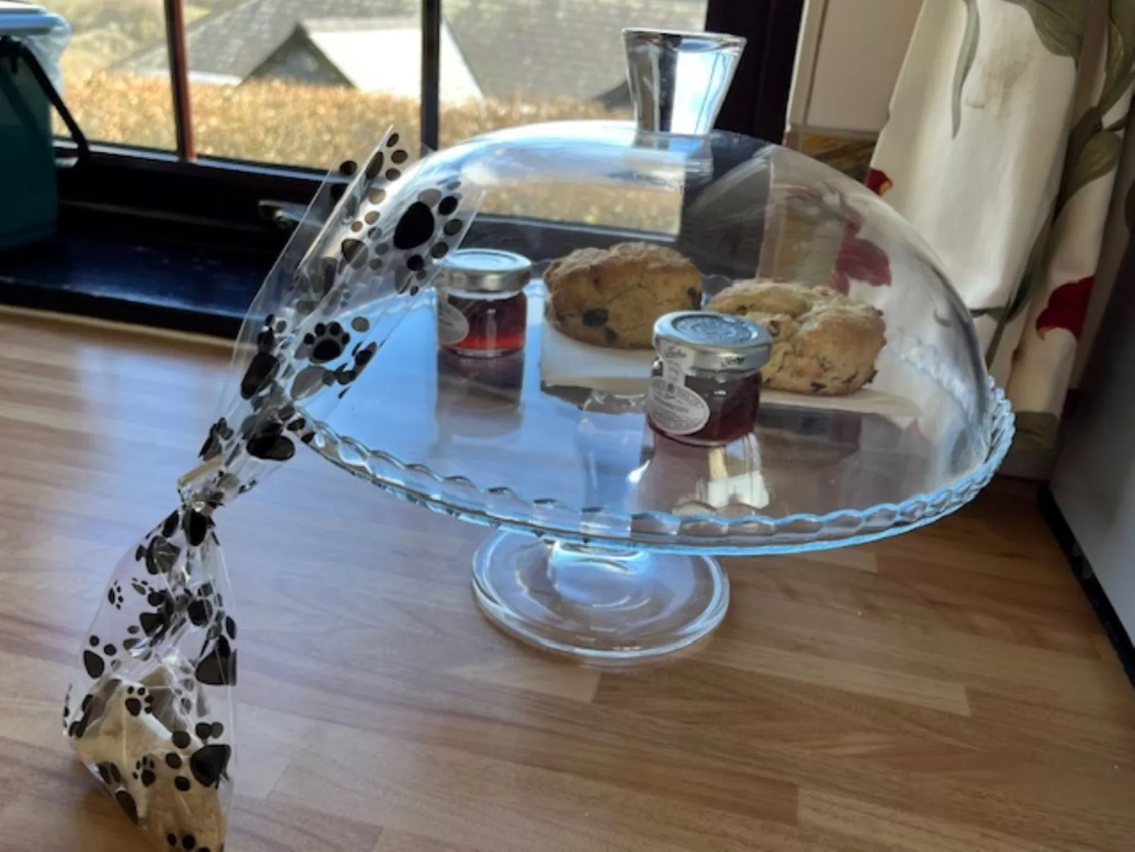 Hartland Hideaways - Binnen