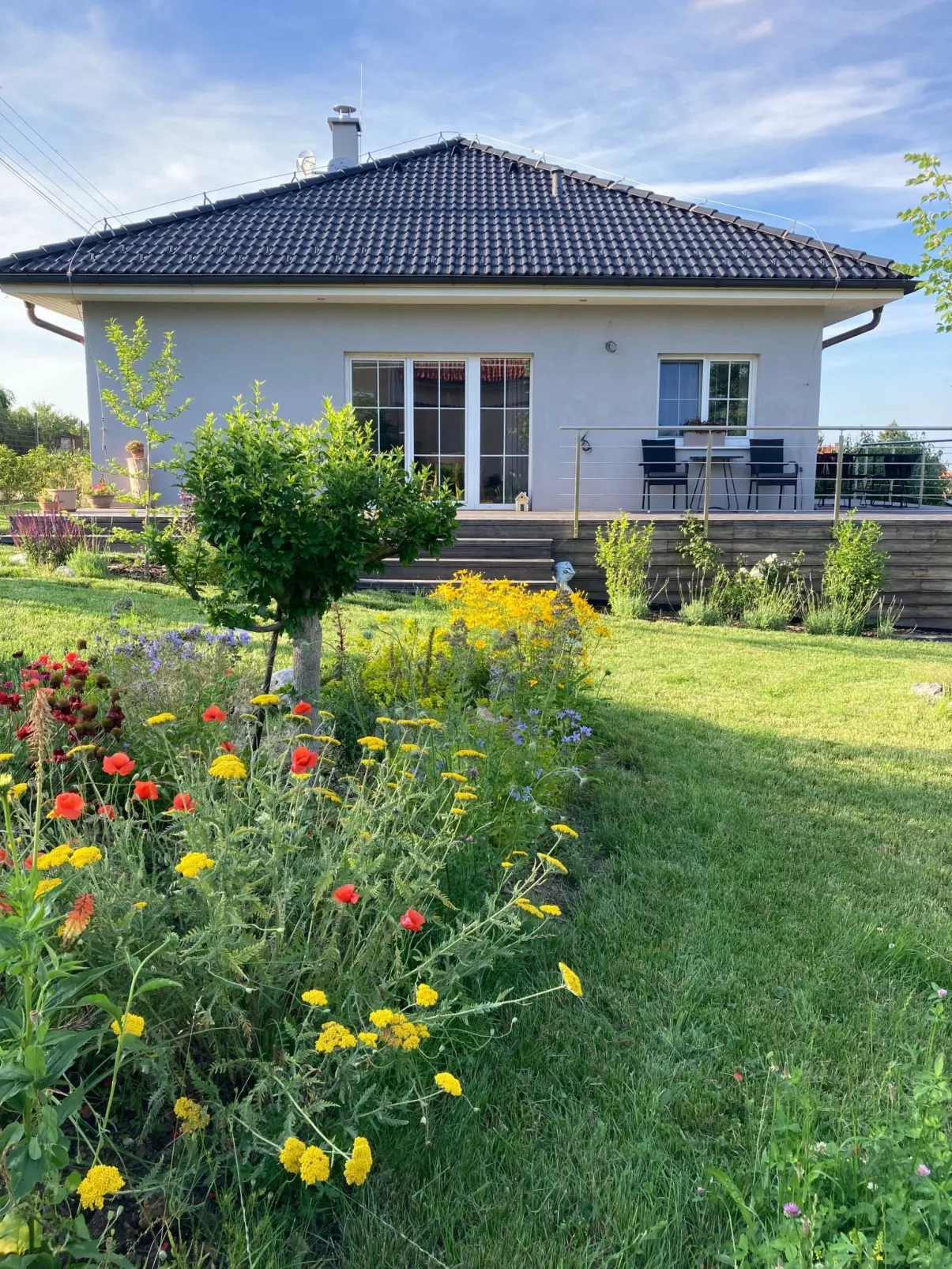 Hillside View - Buiten