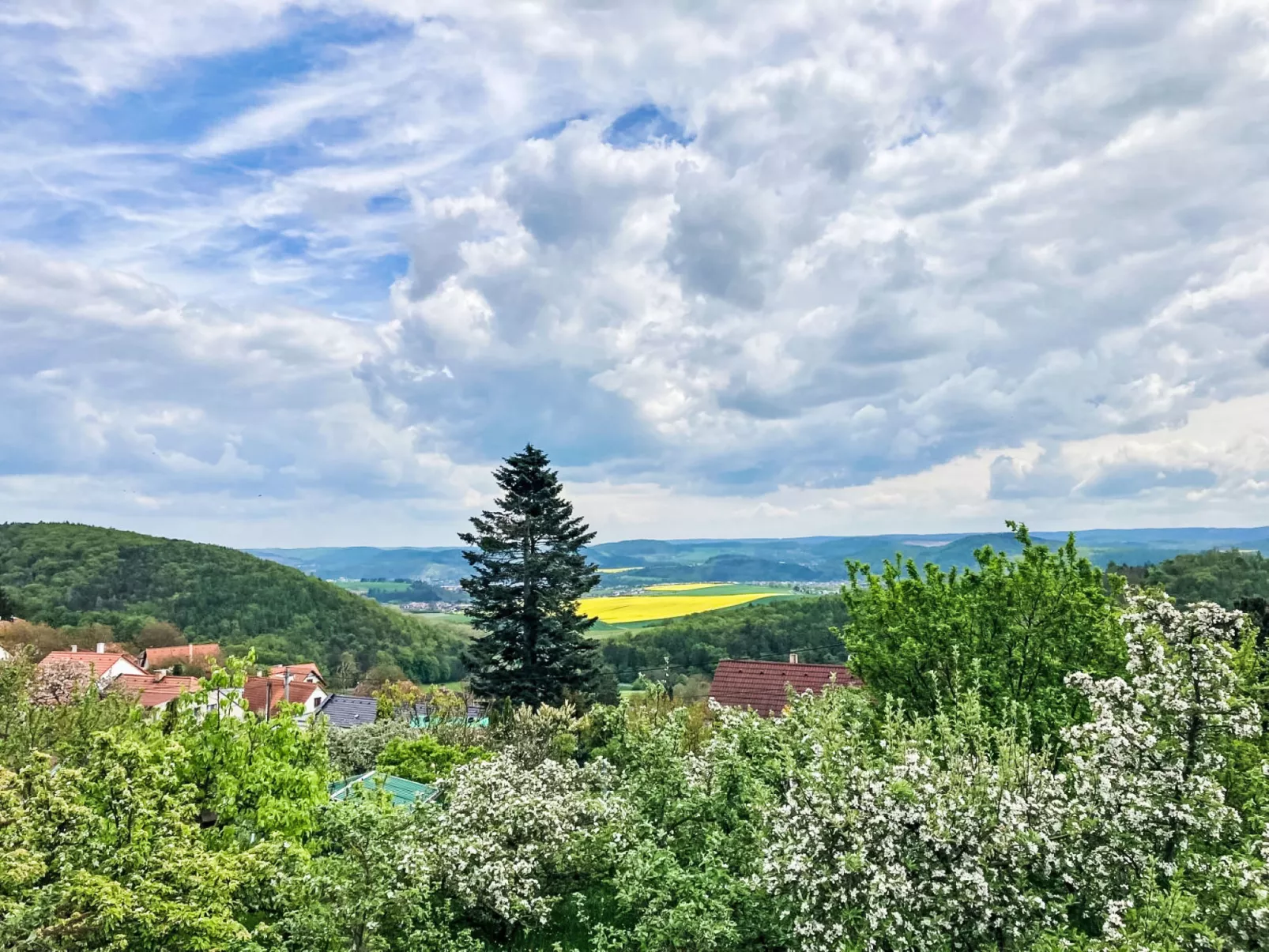 Hillside View - Buiten