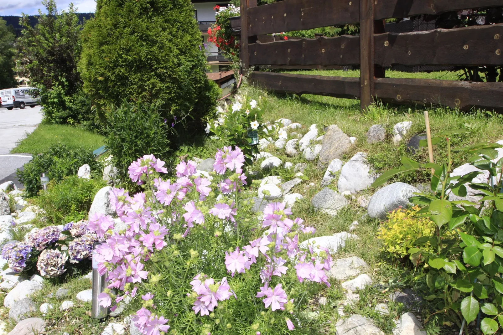 Menardi B - Tuinen zomer