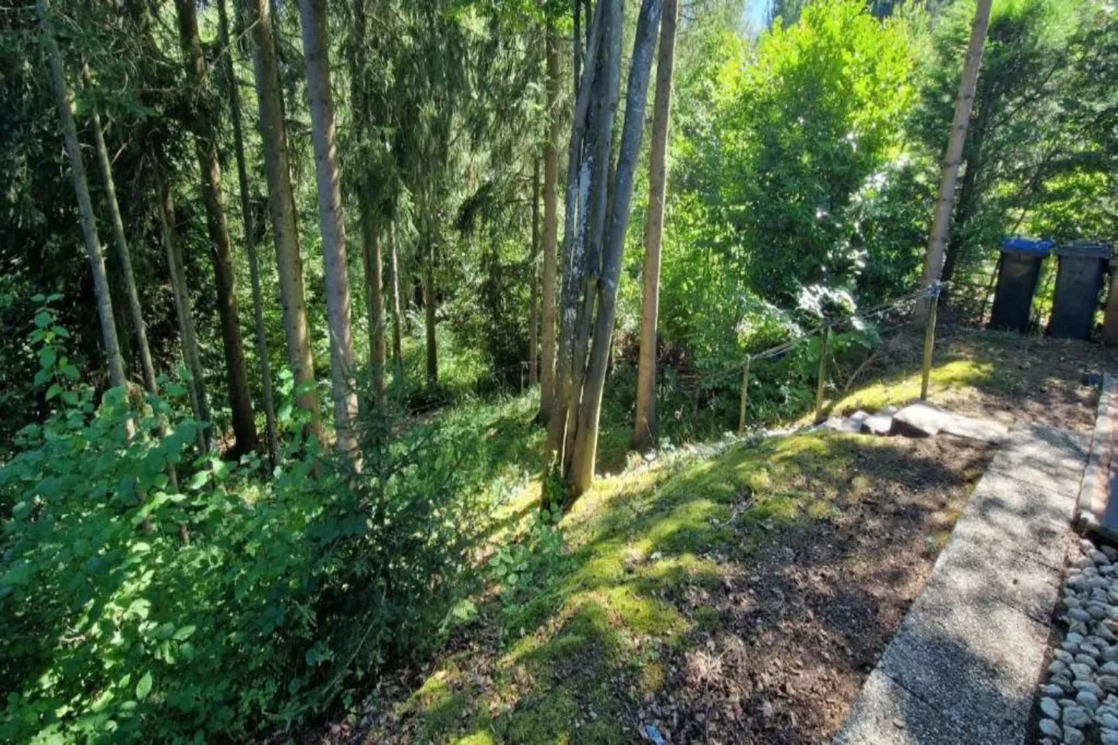 Eifelpark 9 - Gebieden zomer 5km