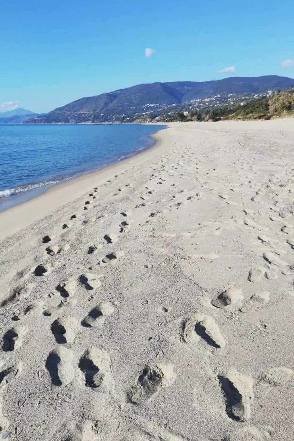 CASA VACANZE THALIA - PISCIOTTA/PALINURO - Image-tags.info