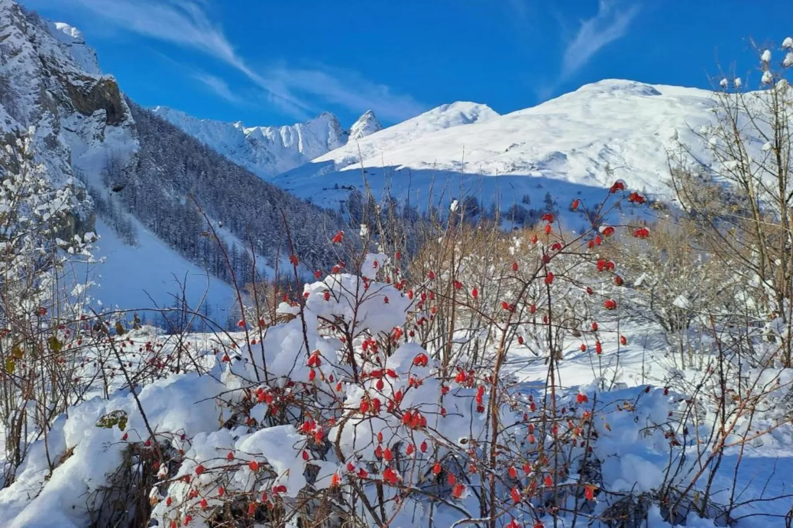 Residence Le Hameau de Valloire 3 - Gebied winter 20km