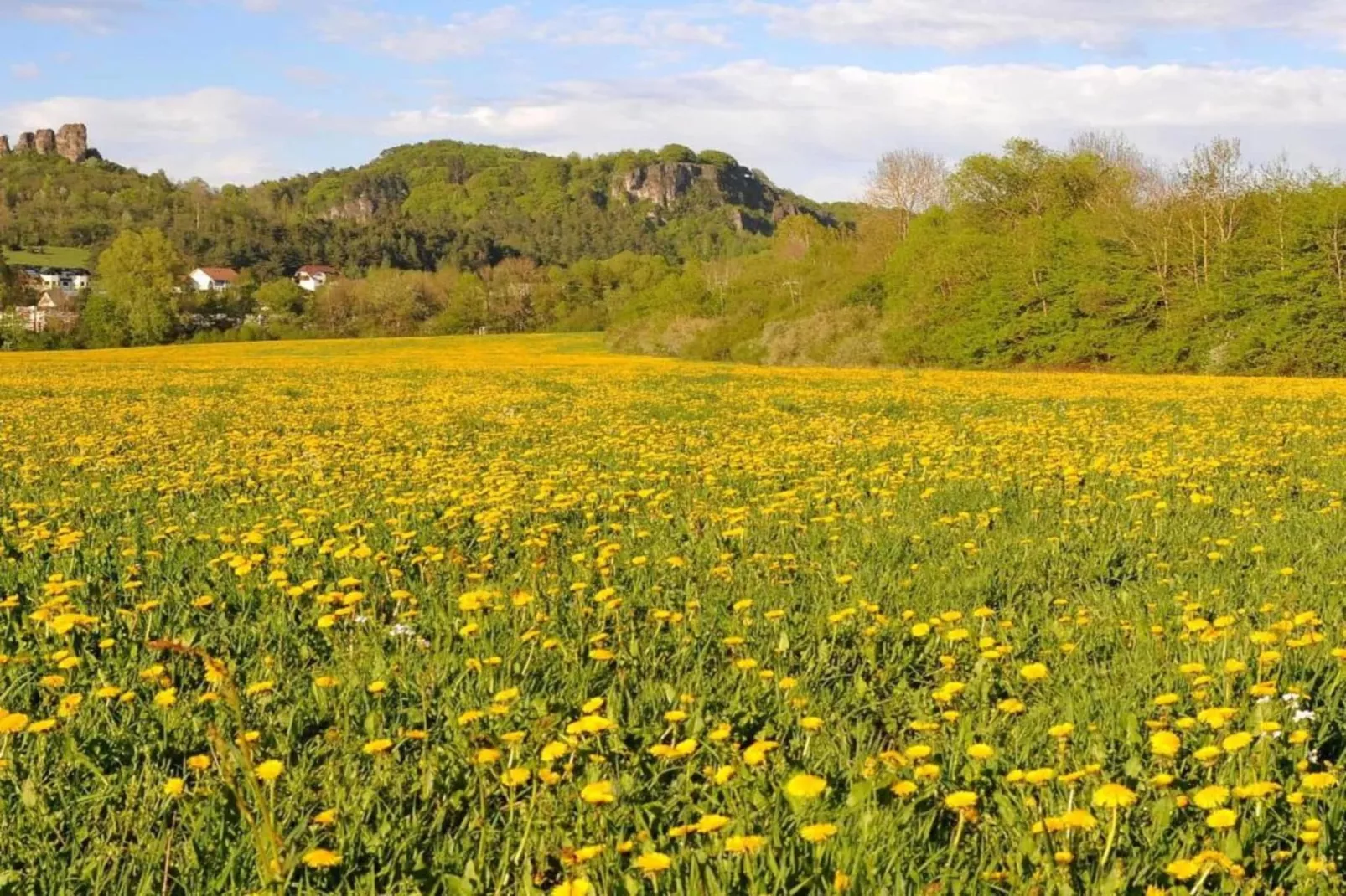 Eifelpark 9 - Gebieden zomer 20km
